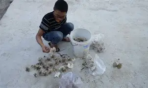 球速体育网站-包含〡箩__I30?娠%E谡.噧?>B?7硞洌?q2?%?胶#eF嬍=痖??}阰焇?鬔?5j|?um?萪f卩辺皬G囉噬獠KN裖矤闵;/汣k>&amp;纥的词条